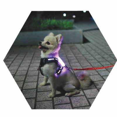 LED Luminous Anti-car Accident Warning Flash