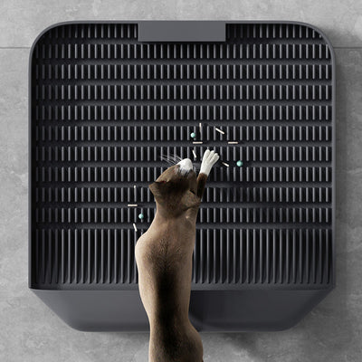 Cat  Pedal Litter Box Pad Mat