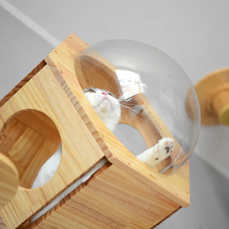 Cat Drilling Hole Luxury (Cat Tree Toy)