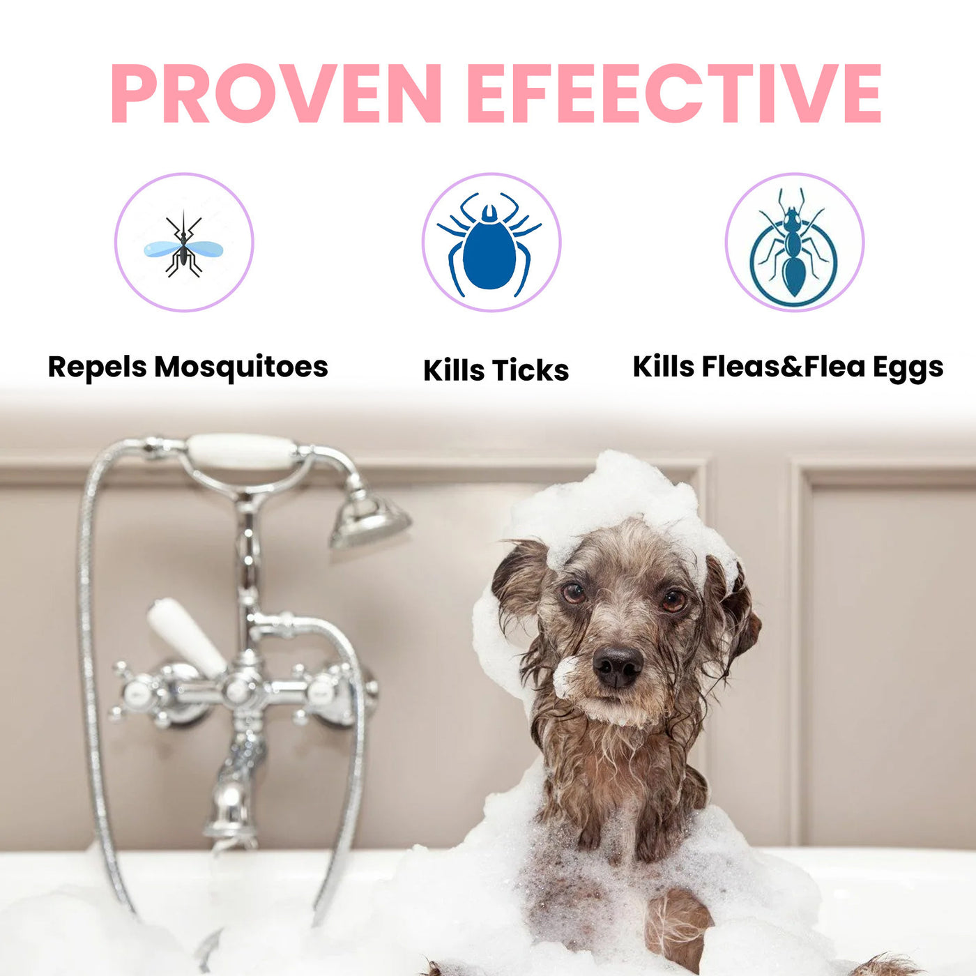 Dogs And Cats Hair Supplement Care