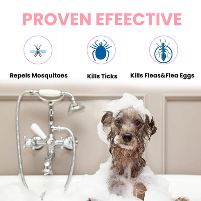 Dogs And Cats Hair Supplement Care