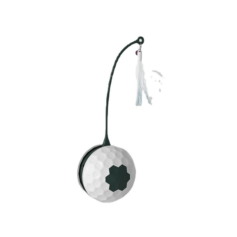 Intelligent Electric Bite Resistant Cat Toys Pet Products