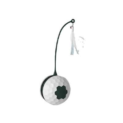 Intelligent Electric Bite Resistant Cat Toys Pet Products