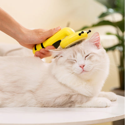 Little Bee Pet Needle Comb Cat