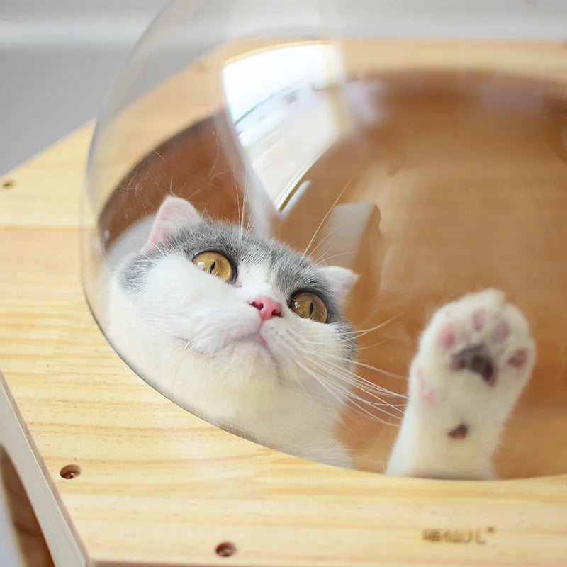 Cat Drilling Hole Luxury (Cat Tree Toy)