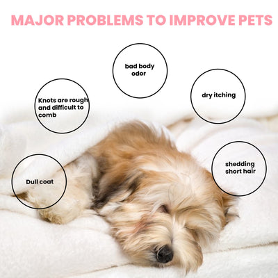 Dogs And Cats Hair Supplement Care