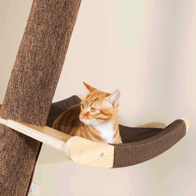 Solid Wood Cat Climbing Frame Litter Cat Shelf