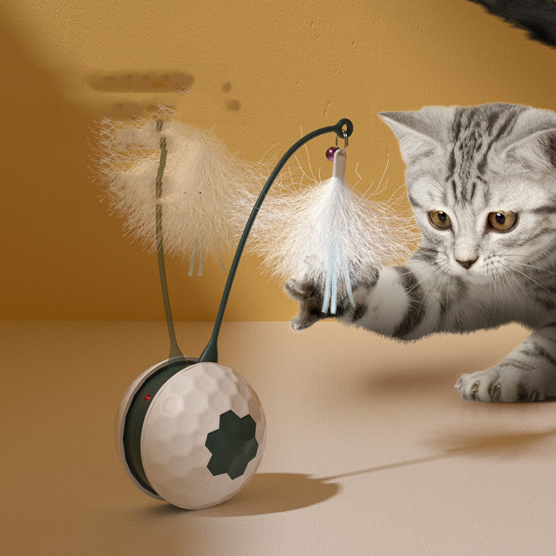 Intelligent Electric Bite Resistant Cat Toys Pet Products