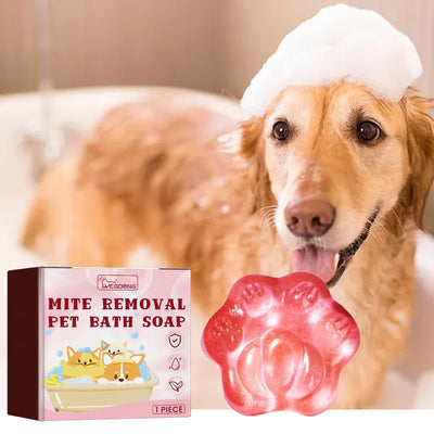 Dogs And Cats Hair Supplement Care